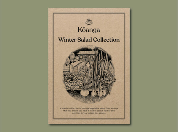 Winter_Salad_Collection