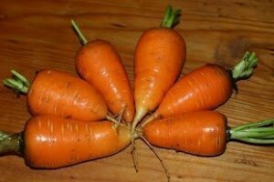 oxheart carrots