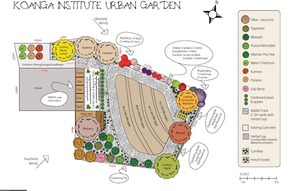 Urban Garden design