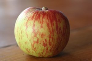 Apple- Giant Geniton- MM106 R/S