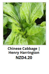 Recommended_Seeds_Chinese_Cabbage_HH