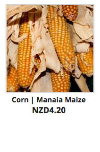 Recommended_Seeds_Corn_Manaia_Maize