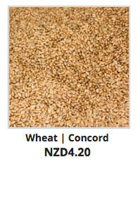 Recommended_Seeds_Wheat_Concord