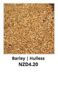 Recommended_Seeds_Barley_Hulless