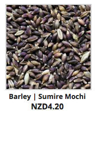 Recommended_Seeds_Barley_Sumire_Mochi