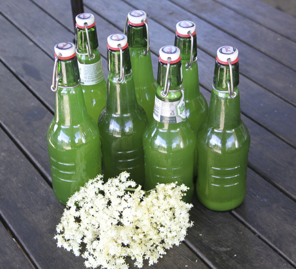 Our elderflower cordial bottled and ready for the holiday season!