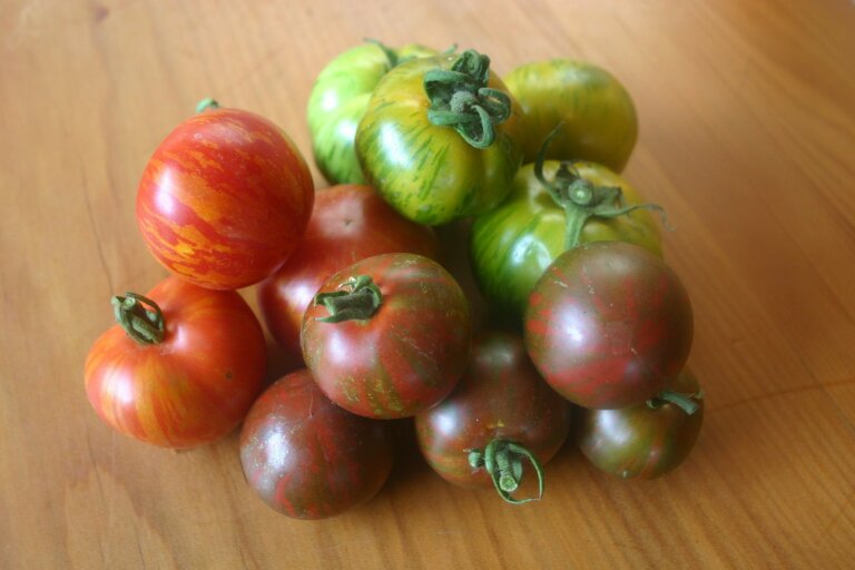Tomato Mix NZ Heritage 6 Colour