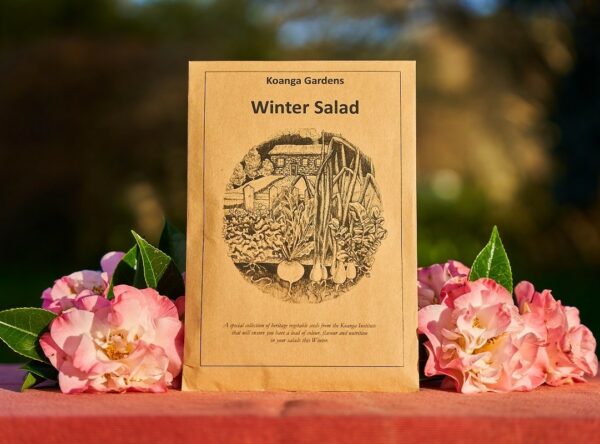 DSC04798-Winter-salad-seed-collection-reduced