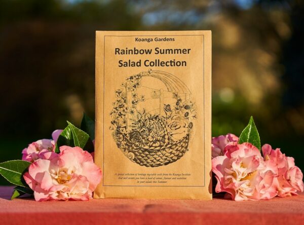DSC04799-Rainbow-Summer-Salad-Collection