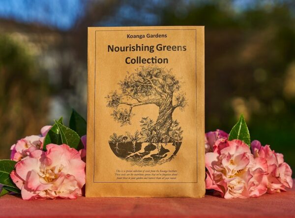 DSC04804-Nourishing-Greens-Collection