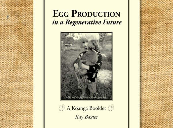 EggProductionCover495034