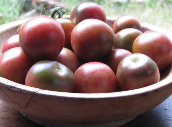 IMG_0547-Black-Cherry-tomatoes-scaled