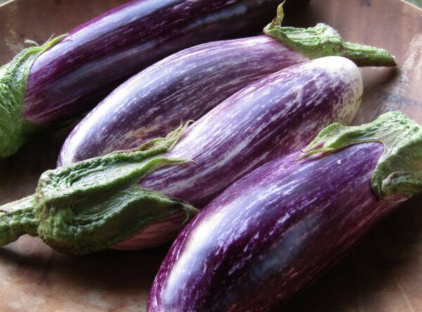 IMG_0810-Tsakoniki-eggplants-scaled