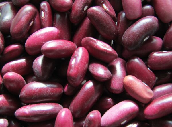 IMG_3248-Kaiapoi-Pink-Seeded-Beans-scaled