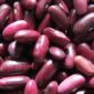 IMG_3248-Kaiapoi-Pink-Seeded-Beans-scaled