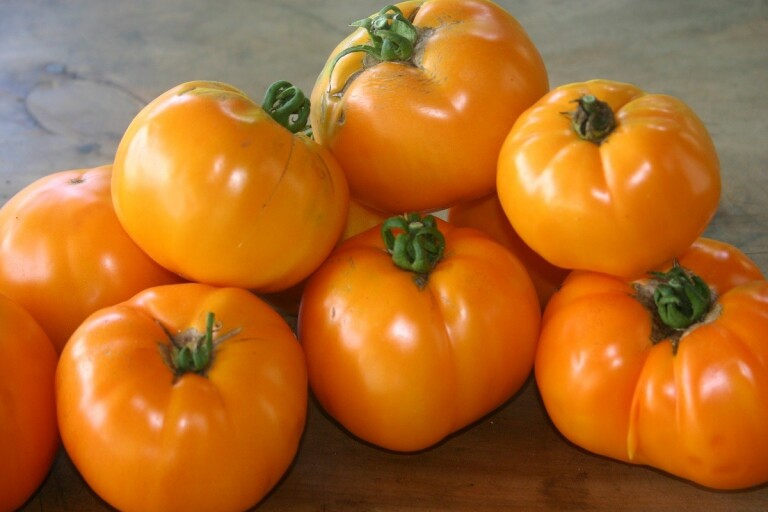 Tomato King’s Gold | Members Only Preservation Pack