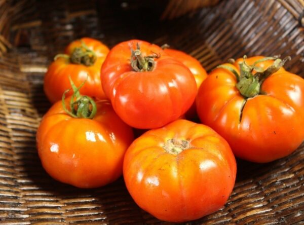 Lebanese-tomato-reduced