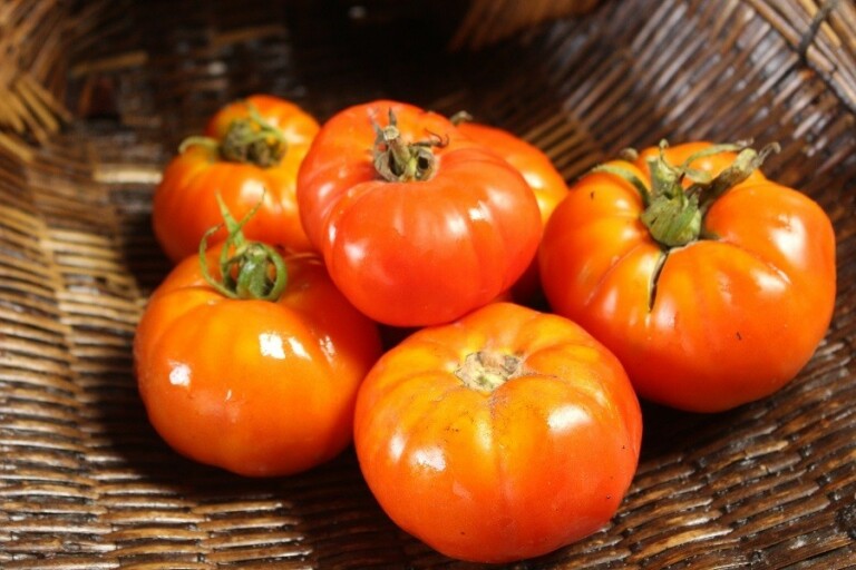 Tomato Lebanese