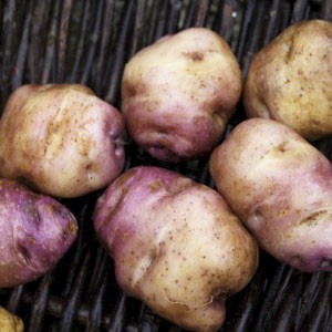 Potato_Chatham_Island1