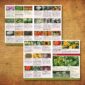Seed-Catalogue-July-2021-Preview2597247-scaled-1
