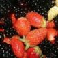 alpine-strawberries