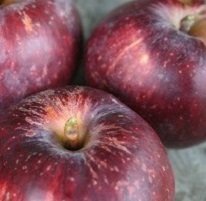 apple_red_delicious