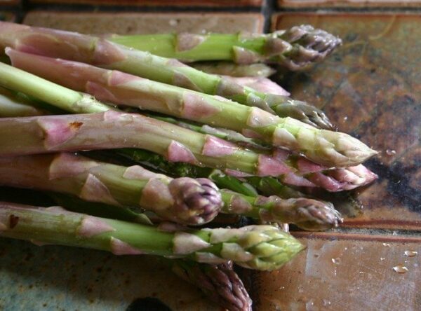 asparagus-mary-washington