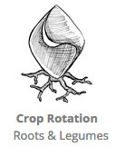 Crop_Rotation_RLC_Roots.jpg