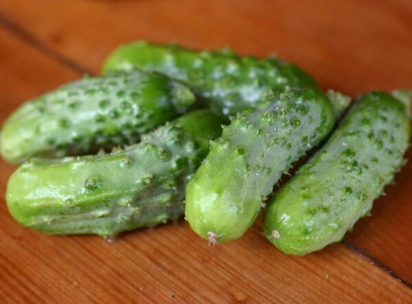 deka-pickling-cucumber-1-1