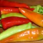 hungarian-yellow-wax-mild-to-hot-pepper-reduced