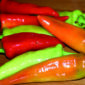 hungarian-yellow-wax-pepper1-1
