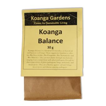 Koanga Balance