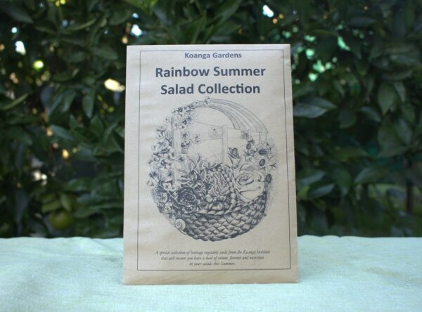 rainbow-summer-salad-IMG_0440-reduced
