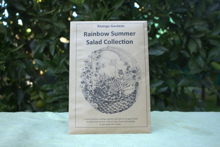 Rainbow Summer Salad Collection
