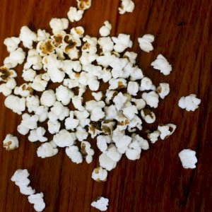 sorghum_white_seeded_popping3