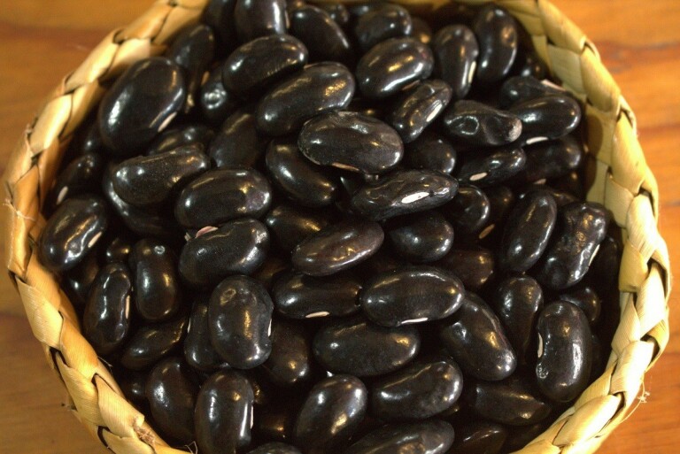 Bean Runner Takamatua Black Seeded | Members Only Preservation Pack