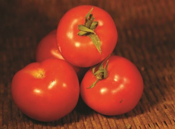 tomato_dwarf_henrys_bush_cherry_2-reduced