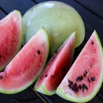 watermelon_souters