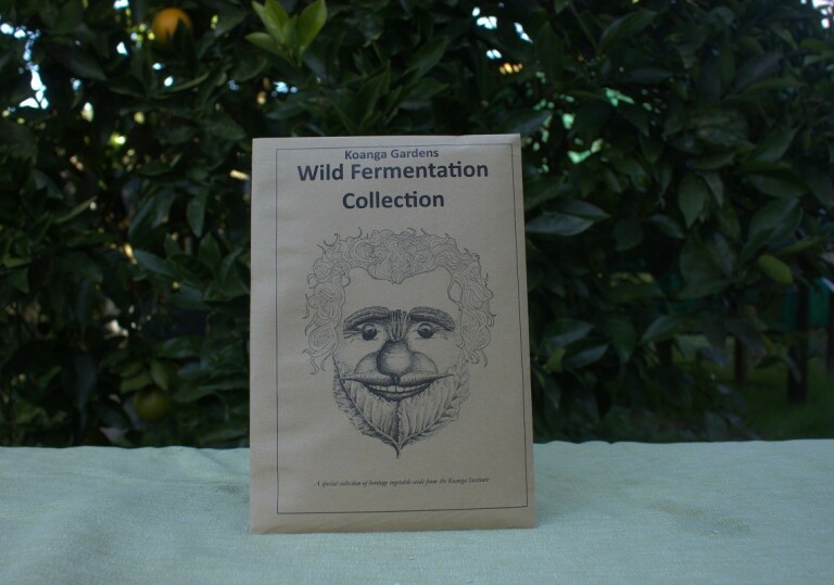 Wild Fermentation Collection