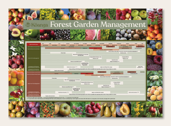 Forest_Garden_Management_Chart_A2_Preview
