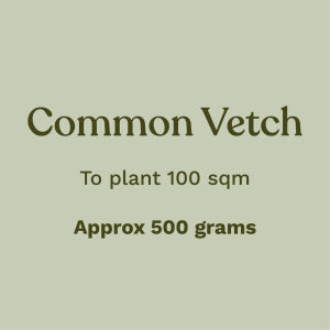 Common Vetch To plant 100sqm Approximately 500 grams