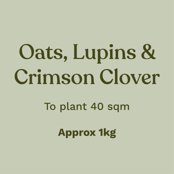 Oats, Lupins and Crimson Clover To plant 40sqm Approximately 1 kilo
