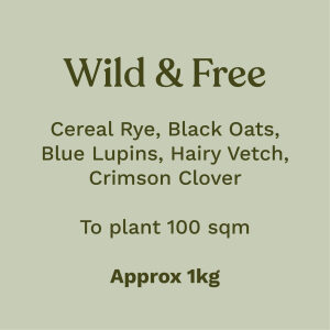 Wild and free Cereal rye, black oats, blue lupins, hairy vetch, crimson clover To plant 100sqm Approximately 1 kilo