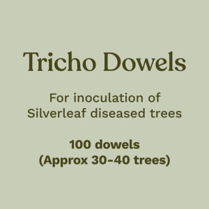 Trichoderma Dowels For inoculation of Silverleaf diseased trees. 100 dowels, approximately 30 to 40 trees.