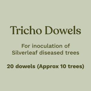 Trichoderma Dowels For inoculation of Silverleaf diseased trees. 20 dowels, approximately 10 trees.
