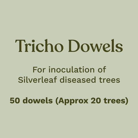 Trichoderma Dowels For inoculation of Silverleaf diseased trees. 50 dowels, approximately 20 trees.