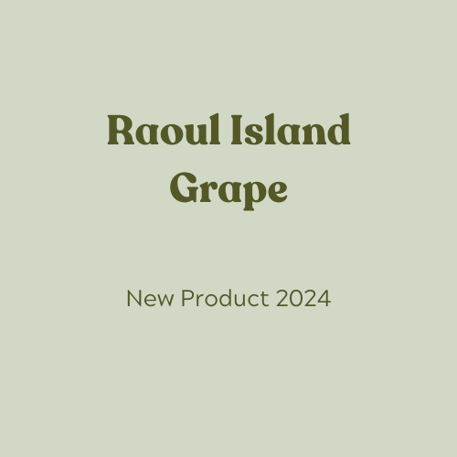 Raoul Island Grape